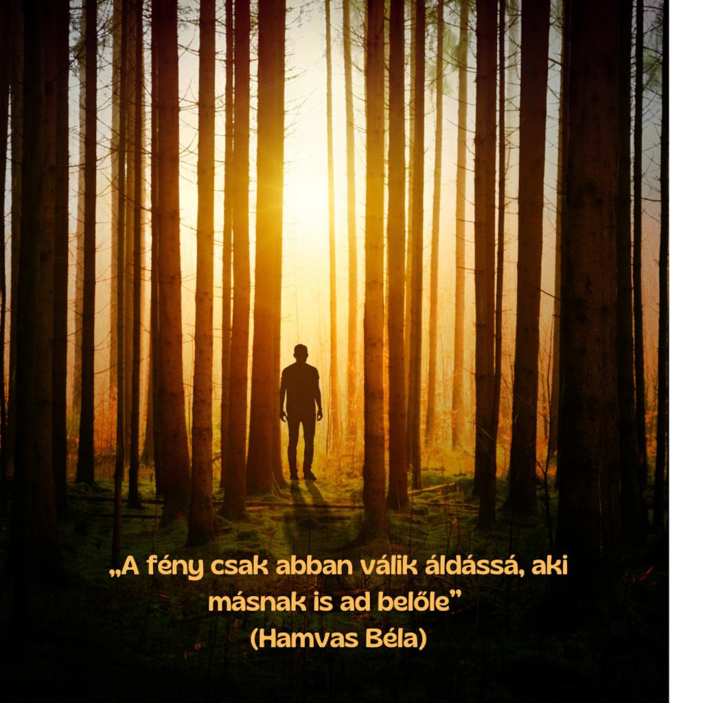 KULTÚRONLINE HÍRLEVÉL 228