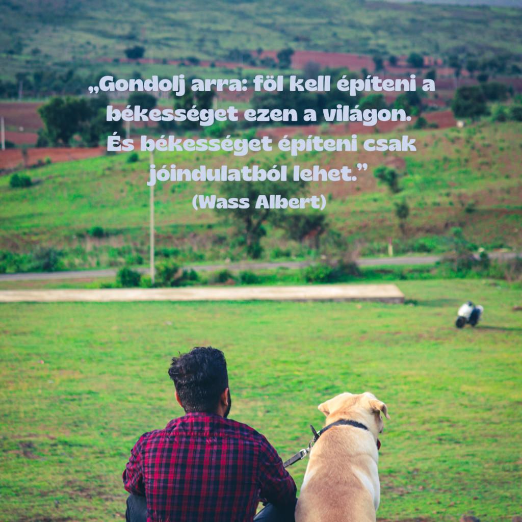 KULTÚRONLINE HÍRLEVÉL 236