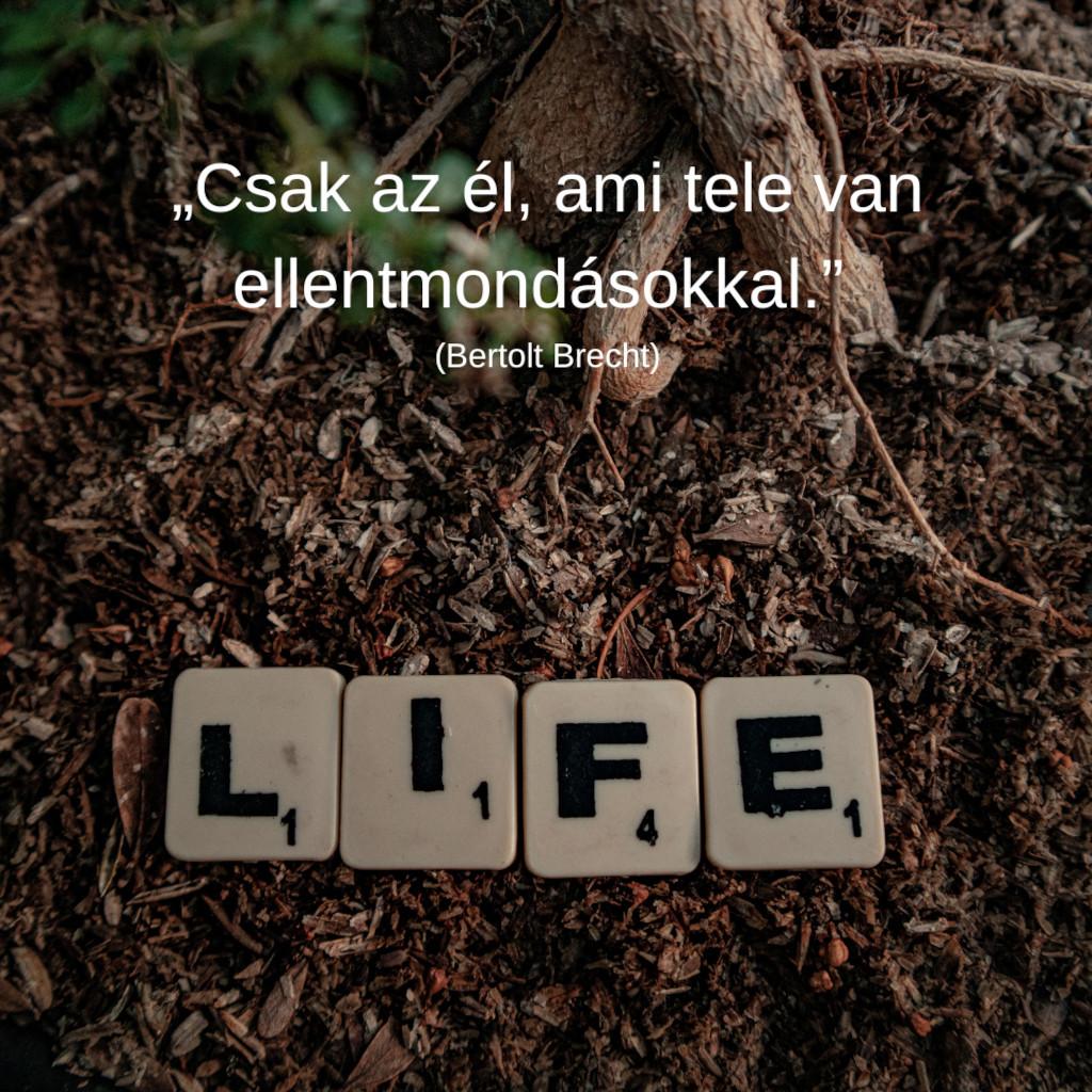 KULTÚRONLINE HÍRLEVÉL 237