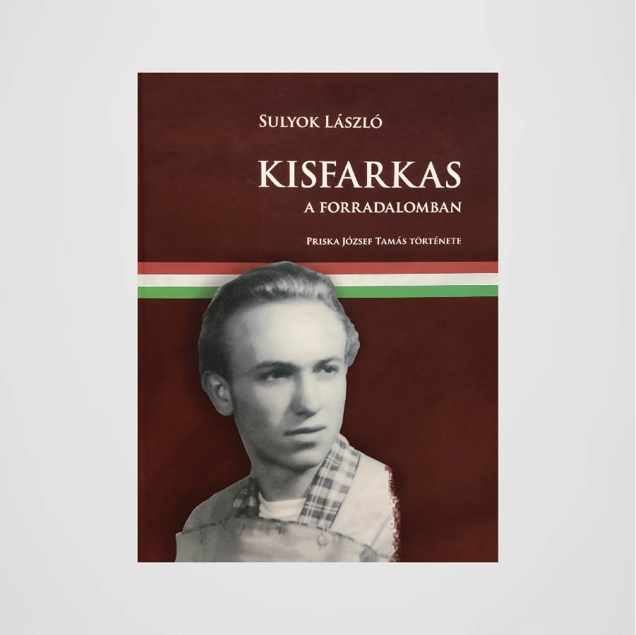 Sulyok László: Kisfarkas a forradalomban