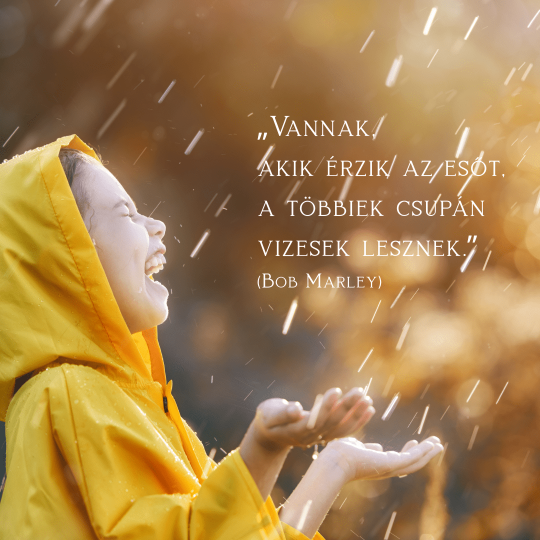 Kultúronline hírlevél 245