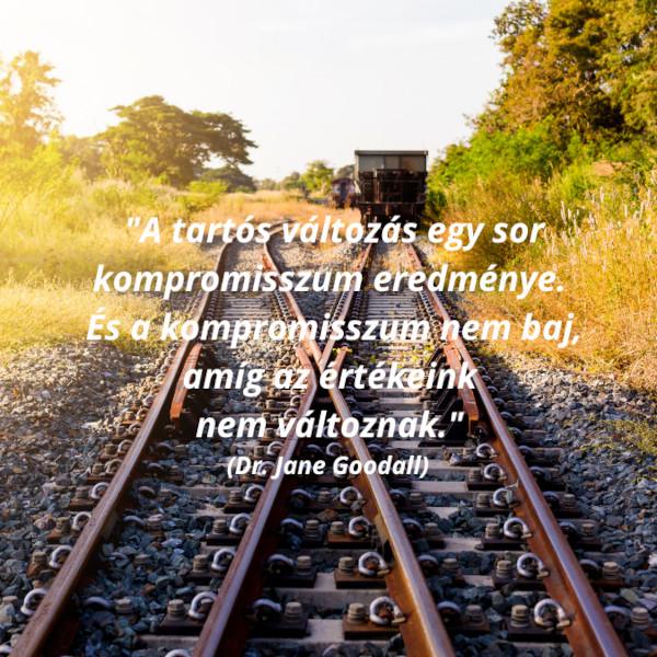 Kultúronline hírlevél 262