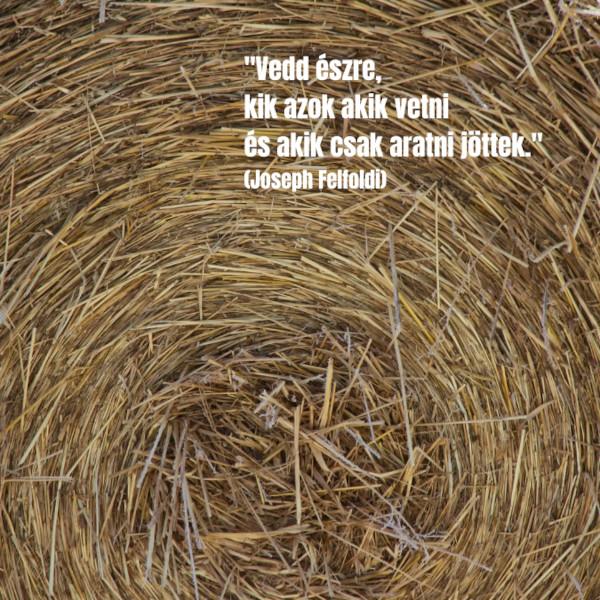 Kultúronline hírlevél 265