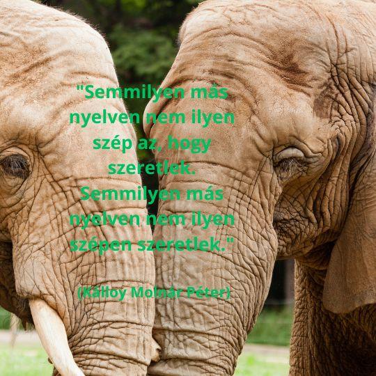 Kultúronline hírlevél 268