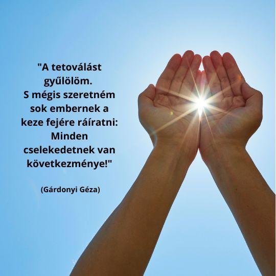 Kultúronline hírlevél 269