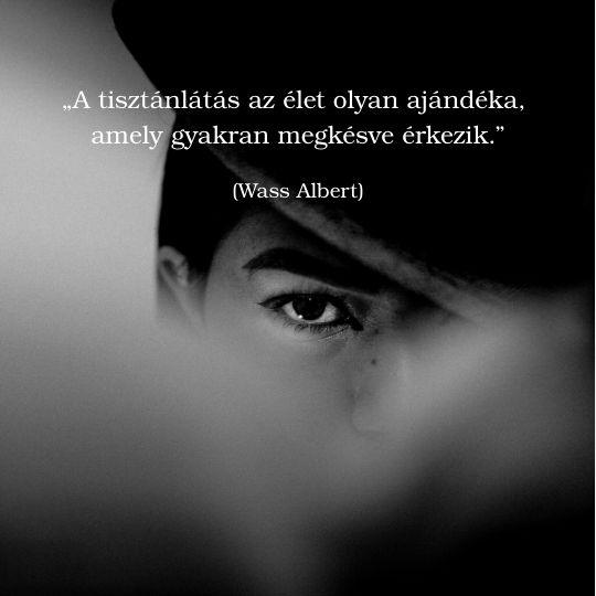 Kultúronline hírlevél 272